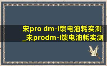 宋pro dm-i馈电油耗实测_宋prodm-i馈电油耗实测动力